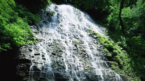 节能绿色高端